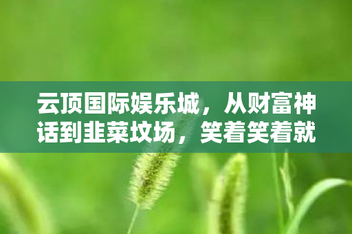 云顶国际娱乐城,从财富神话到韭菜坟场,笑着笑着就哭了 云顶国际娱乐城,从财富神话到韭菜坟场,笑着笑着就哭了