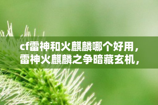 cf雷神和火麒麟哪个好用,雷神火麒麟之争暗藏玄机,谁在操控这场悬案的毛骨悚然真相? cf雷神和火麒麟哪个好用,雷神火麒麟之争暗藏玄机,谁在操控这场悬案的毛骨悚然真相?