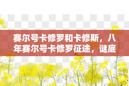 赛尔号卡修罗和卡修斯,八年赛尔号卡修罗征途,谜底揭晓时,泪目竟是无声告别 赛尔号卡修罗和卡修斯,八年赛尔号卡修罗征途,谜底揭晓时,泪目竟是无声告别