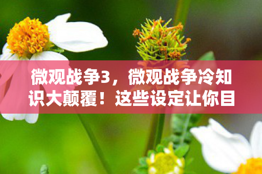 微观战争3，微观战争冷知识大颠覆！这些设定让你目瞪口呆十年白玩