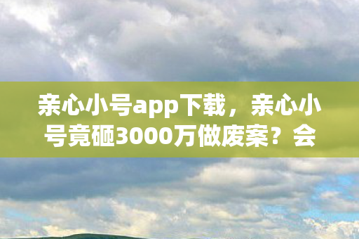 亲心小号app下载，亲心小号竟砸3000万做废案？会议室吵翻天，真相让人吓一跳！