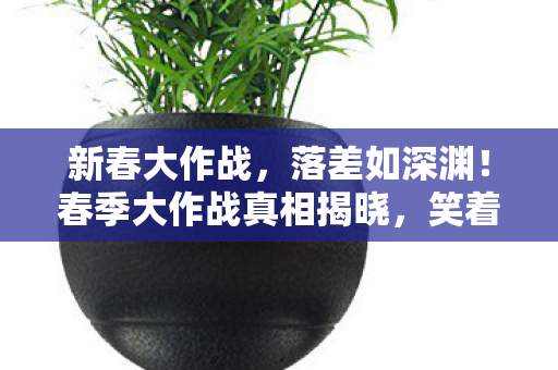 新春大作战，落差如深渊！春季大作战真相揭晓，笑着骂完，哭着又上线
