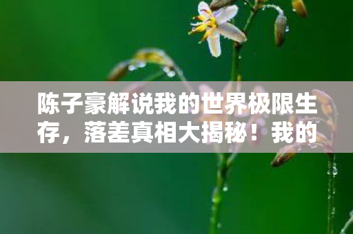 陈子豪解说我的世界极限生存,落差真相大揭秘!我的世界笑着笑着,我竟被骂哭了? 陈子豪解说我的世界极限生存,落差真相大揭秘!我的世界笑着笑着,我竟被骂哭了?