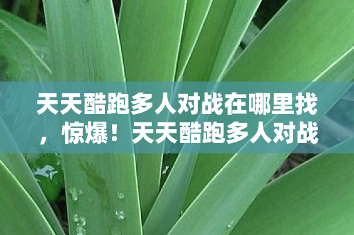 天天酷跑多人对战在哪里找，惊爆！天天酷跑多人对战300万奖金背后，竟藏着让策划组吓一跳的隐情！