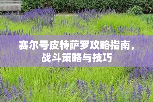 赛尔号皮特萨罗攻略指南图片