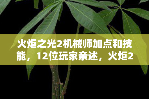 火炬之光2机械师加点和技能，12位玩家亲述，火炬2机械师隐藏机制竟让大神萌新集体破防？
