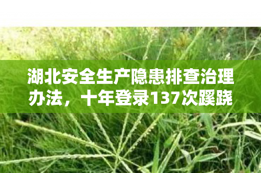 湖北安全生产隐患排查治理办法，十年登录137次蹊跷记录，每次下线后背发凉