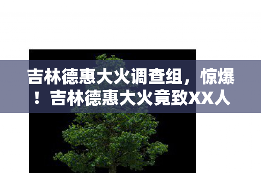 吉林德惠大火调查组，惊爆！吉林德惠大火竟致XX人伤亡，背后真相究竟为何？
