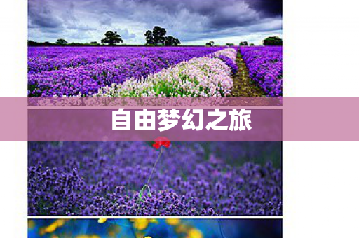 自由梦幻之旅图片