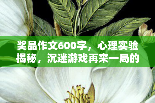 奖品作文600字,心理实验揭秘,沉迷游戏再来一局的细思极恐真相 奖品作文600字,心理实验揭秘,沉迷游戏再来一局的细思极恐真相