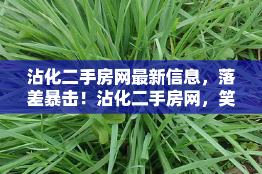 沾化二手房网最新信息，落差暴击！沾化二手房网，笑着看房价真相，哭着删收藏清单