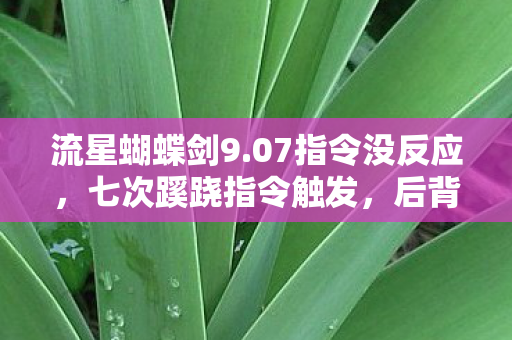流星蝴蝶剑9.07指令没反应,七次蹊跷指令触发,后背发凉!这游戏玩我半生? 流星蝴蝶剑9.07指令没反应,七次蹊跷指令触发,后背发凉!这游戏玩我半生?