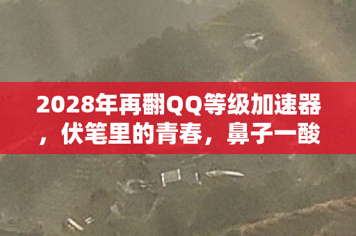 2028年再翻QQ等级加速器，伏笔里的青春，鼻子一酸竟是永别