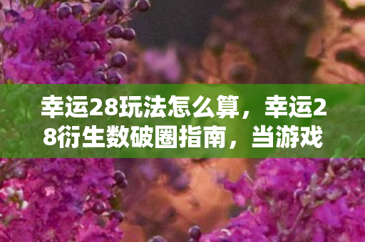幸运28玩法怎么算，幸运28衍生数破圈指南，当游戏算法撞上音乐综艺的意想不到