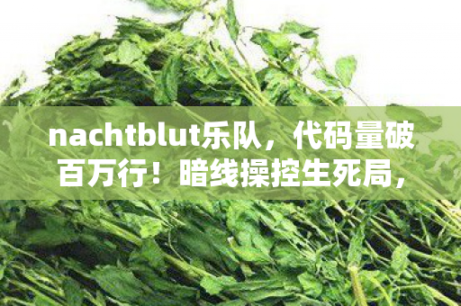 nachtblut乐队，代码量破百万行！暗线操控生死局，头皮发麻的虚拟帝国