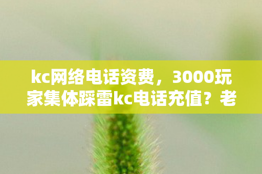 kc网络电话资费,3000玩家集体踩雷kc电话充值?老炮亲历,这波操作我直接绷不住! kc网络电话资费,3000玩家集体踩雷kc电话充值?老炮亲历,这波操作我直接绷不住!