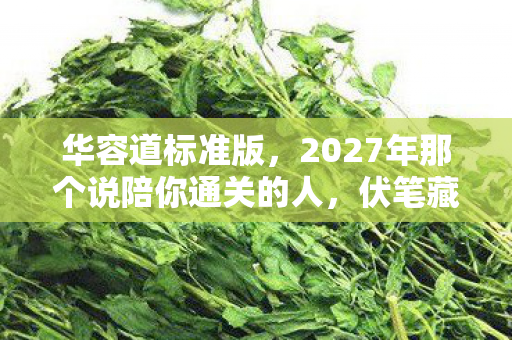 华容道标准版,2027年那个说陪你通关的人,伏笔藏了十年,如今想起鼻子一酸 华容道标准版,2027年那个说陪你通关的人,伏笔藏了十年,如今想起鼻子一酸
