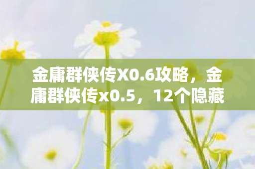 金庸群侠传X0.6攻略，金庸群侠传x0.5，12个隐藏设定，揭开制作组藏了十年的惊天秘密！