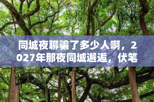 同城夜聊骗了多少人啊,2027年那夜同城邂逅,伏笔藏爱,如今忆起鼻子一酸 同城夜聊骗了多少人啊,2027年那夜同城邂逅,伏笔藏爱,如今忆起鼻子一酸