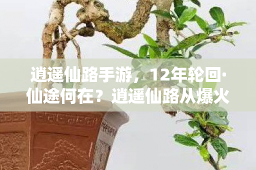 逍遥仙路手游，12年轮回·仙途何在？逍遥仙路从爆火到长眠的泪目真相