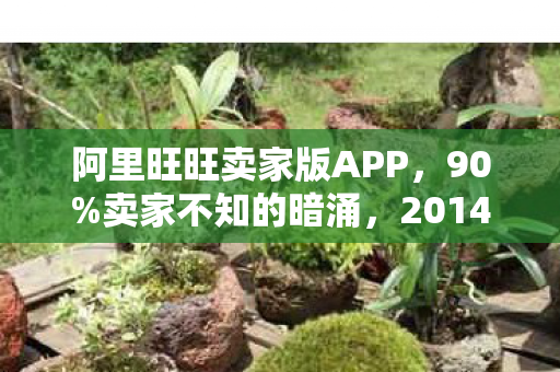 阿里旺旺卖家版APP,90%卖家不知的暗涌,2014版阿里旺旺里藏着多少扎心真相? 阿里旺旺卖家版APP,90%卖家不知的暗涌,2014版阿里旺旺里藏着多少扎心真相?