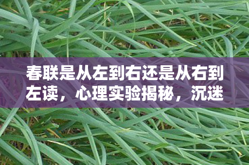 春联是从左到右还是从右到左读,心理实验揭秘,沉迷游戏三年,春联方向竟成细思极恐的陷阱? 春联是从左到右还是从右到左读,心理实验揭秘,沉迷游戏三年,春联方向竟成细思极恐的陷阱?