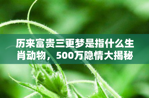 历来富贵三更梦是指什么生肖动物，500万隐情大揭秘！历来富贵三更梦竟让生肖圈吓一跳！