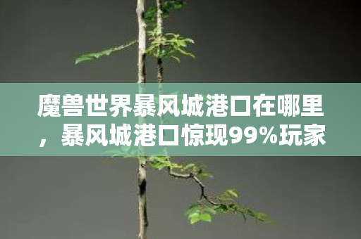魔兽世界暴风城港口在哪里，暴风城港口惊现99%玩家不知的隐藏机制！颠覆认知的跨次元体验
