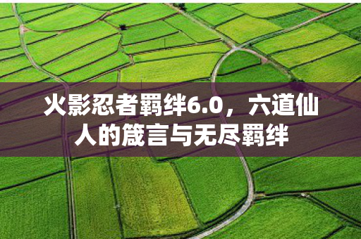 六道仙人的箴言与无尽羁绊图片