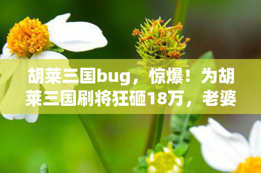 胡莱三国bug,惊爆!为胡莱三国刷将狂砸18万,老婆签离婚协议我才吓一跳! 胡莱三国bug,惊爆!为胡莱三国刷将狂砸18万,老婆签离婚协议我才吓一跳!