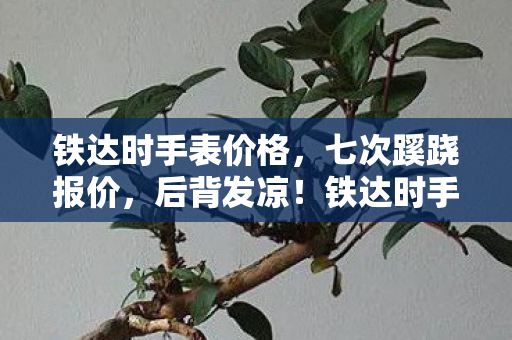 铁达时手表价格,七次蹊跷报价,后背发凉!铁达时手表竟藏十年逃亡密码 铁达时手表价格,七次蹊跷报价,后背发凉!铁达时手表竟藏十年逃亡密码