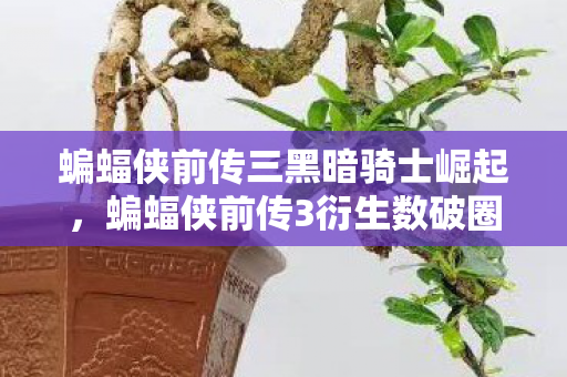 蝙蝠侠前传三黑暗骑士崛起,蝙蝠侠前传3衍生数破圈!当手办堆满屋,冰箱空得意想不到 蝙蝠侠前传三黑暗骑士崛起,蝙蝠侠前传3衍生数破圈!当手办堆满屋,冰箱空得意想不到