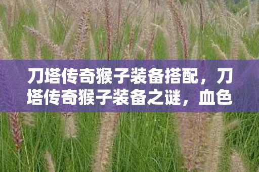 刀塔传奇猴子装备搭配,刀塔传奇猴子装备之谜,血色线索引悬案,毛骨悚然终局现 刀塔传奇猴子装备搭配,刀塔传奇猴子装备之谜,血色线索引悬案,毛骨悚然终局现