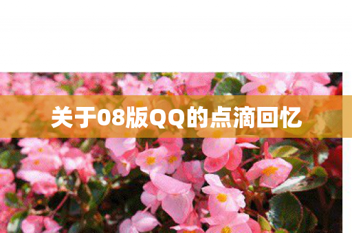 关于08版QQ的点滴回忆图片