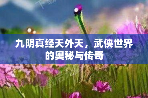 武侠世界的奥秘与传奇图片