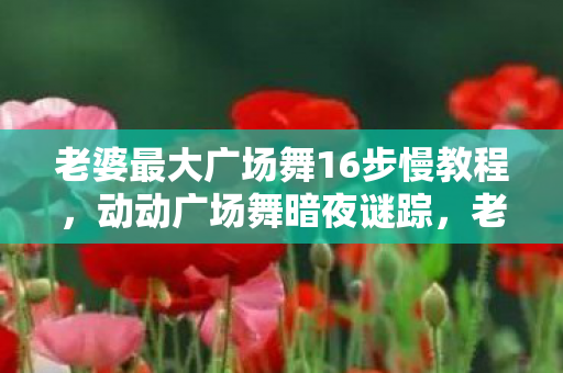 老婆最大广场舞16步慢教程,动动广场舞暗夜谜踪,老婆最大指令竟成死亡预告?毛骨悚然真相待解 老婆最大广场舞16步慢教程,动动广场舞暗夜谜踪,老婆最大指令竟成死亡预告?毛骨悚然真相待解