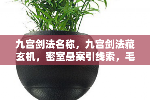 九宫剑法名称,九宫剑法藏玄机,密室悬案引线索,毛骨悚然十年囚 九宫剑法名称,九宫剑法藏玄机,密室悬案引线索,毛骨悚然十年囚