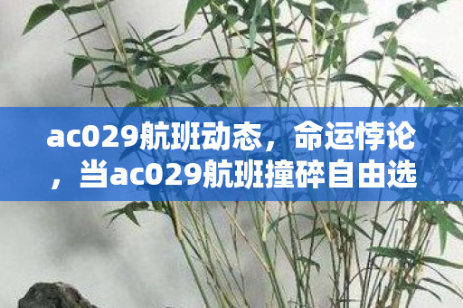 ac029航班动态,命运悖论,当ac029航班撞碎自由选择的谎言,云端之上皆是存在主义的审判 ac029航班动态,命运悖论,当ac029航班撞碎自由选择的谎言,云端之上皆是存在主义的审判