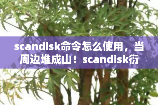 scandisk命令怎么使用,当周边堆成山!scandisk衍生数破圈,败家玩家的投名状式消费 scandisk命令怎么使用,当周边堆成山!scandisk衍生数破圈,败家玩家的投名状式消费