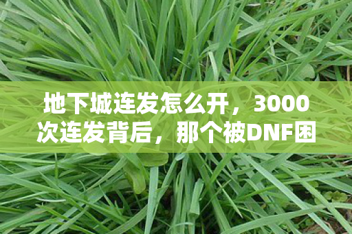 地下城连发怎么开,3000次连发背后,那个被DNF困住的主机玩家,藏着多少心酸? 地下城连发怎么开,3000次连发背后,那个被DNF困住的主机玩家,藏着多少心酸?