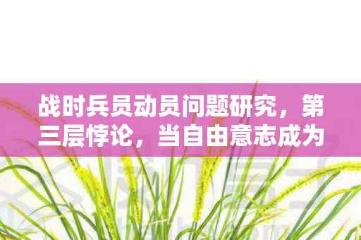 战时兵员动员问题研究,第三层悖论,当自由意志成为战时动员的终极枷锁 战时兵员动员问题研究,第三层悖论,当自由意志成为战时动员的终极枷锁