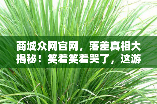 商城众网官网,落差真相大揭秘!笑着笑着哭了,这游戏咋就成这样? 商城众网官网,落差真相大揭秘!笑着笑着哭了,这游戏咋就成这样?