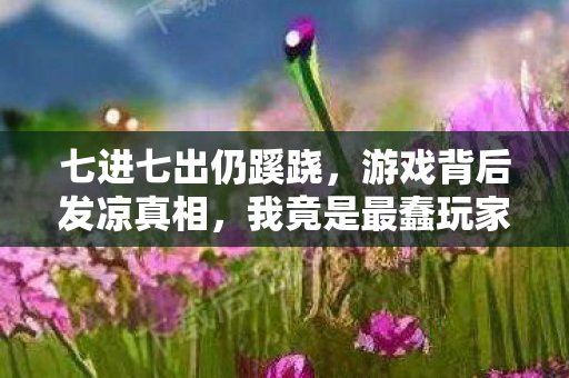 七进七出仍蹊跷,游戏背后发凉真相,我竟是最蠢玩家? 七进七出仍蹊跷,游戏背后发凉真相,我竟是最蠢玩家?