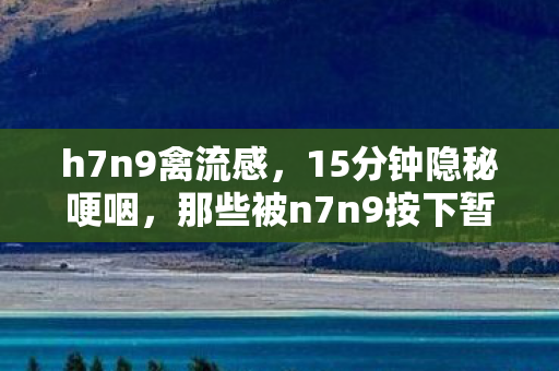 h7n9禽流感,15分钟隐秘哽咽,那些被n7n9按下暂停键的通宵战场 h7n9禽流感,15分钟隐秘哽咽,那些被n7n9按下暂停键的通宵战场