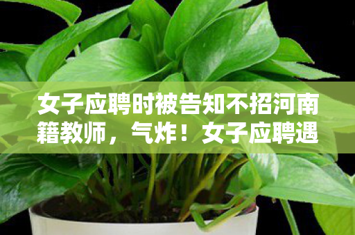 女子应聘时被告知不招河南籍教师,气炸!女子应聘遇地域歧视,3次面试竟因河南籍全泡汤 女子应聘时被告知不招河南籍教师,气炸!女子应聘遇地域歧视,3次面试竟因河南籍全泡汤