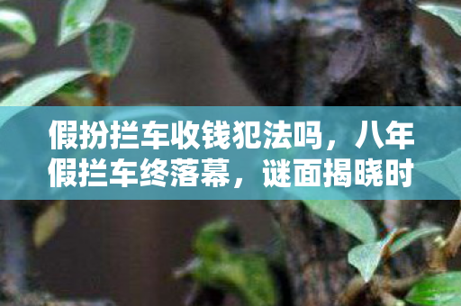 假扮拦车收钱犯法吗,八年假拦车终落幕,谜面揭晓时泪目成殇 假扮拦车收钱犯法吗,八年假拦车终落幕,谜面揭晓时泪目成殇