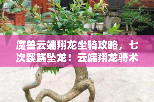 魔兽云端翔龙坐骑攻略,七次蹊跷坠龙!云端翔龙骑术背后,竟藏着让人后背发凉的真相 魔兽云端翔龙坐骑攻略,七次蹊跷坠龙!云端翔龙骑术背后,竟藏着让人后背发凉的真相