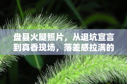 盘县火腿照片,从退坑宣言到真香现场,落差感拉满的真相,笑着笑着就哭了 盘县火腿照片,从退坑宣言到真香现场,落差感拉满的真相,笑着笑着就哭了