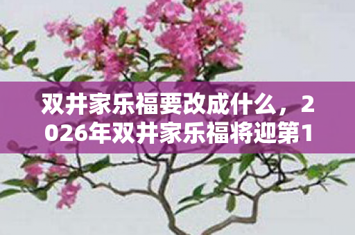 双井家乐福要改成什么,2026年双井家乐福将迎第100次改造?神秘数字背后藏玄机! 双井家乐福要改成什么,2026年双井家乐福将迎第100次改造?神秘数字背后藏玄机!