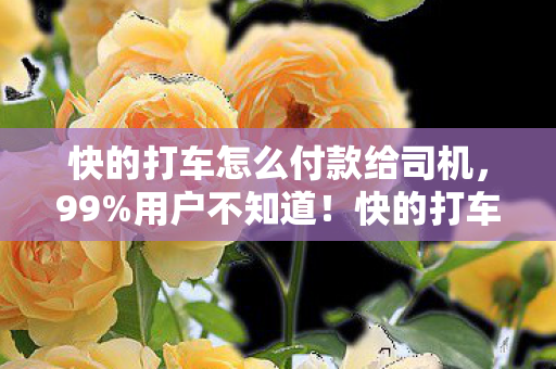 快的打车怎么付款给司机,99%用户不知道!快的打车付款竟藏着这3大平台终极差异 快的打车怎么付款给司机,99%用户不知道!快的打车付款竟藏着这3大平台终极差异
